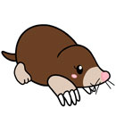 Mini Squishable Mole