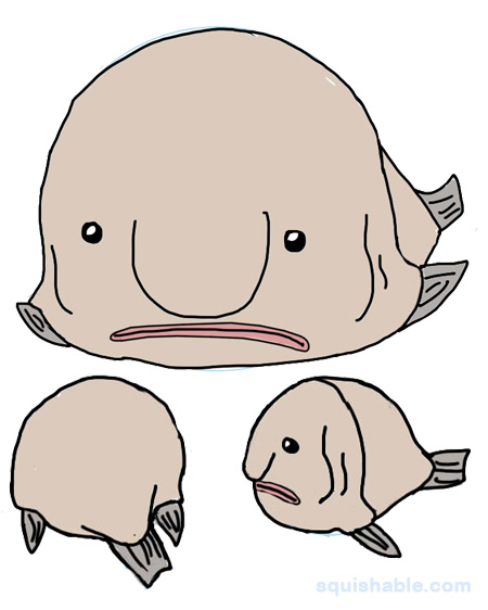Squishable Blobfish