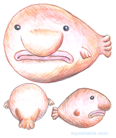 Squishable Blobfish