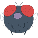 Squishable Fly thumbnail