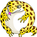 Squishable Leopard Gecko thumbnail