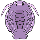 Squishable Giant Isopod