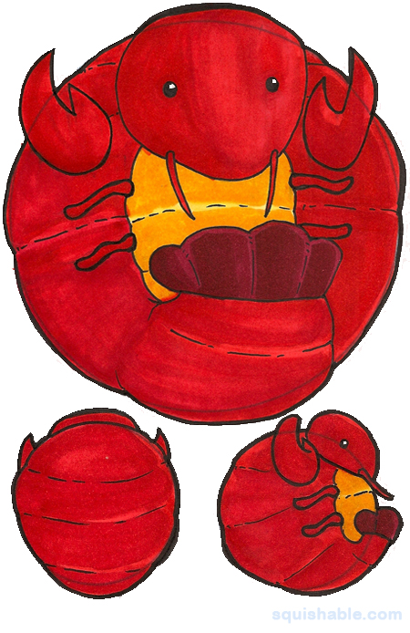 Squishable Lovely Lobster