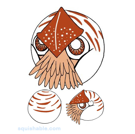Squishable Chambered Nautilus