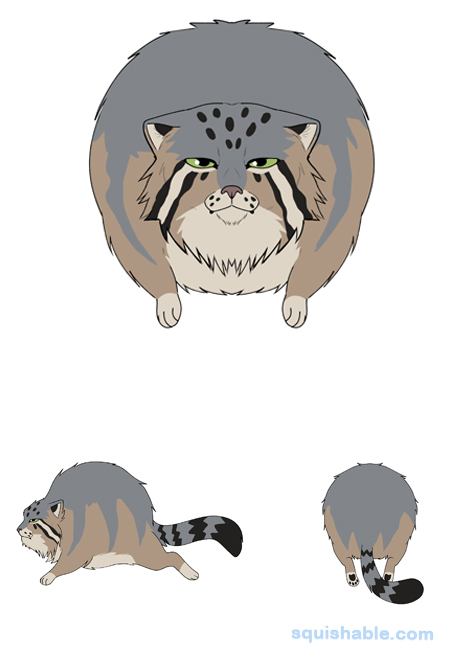  Squishable Pallas Cat