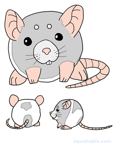 Squishable Rattie