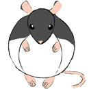 Squishable Hooded Rat thumbnail