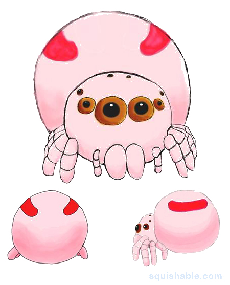 Squishable Jumping Spiderling