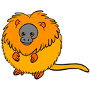 Squishable Golden Lion Tamarin thumbnail