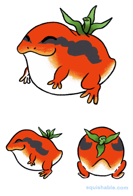 Squishable Tomato Frog