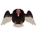 Squishable Turkey Vulture