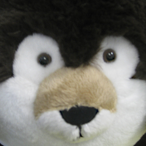 Squishable Otter, second prototype