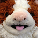 Squishable Pit Bull, first prototype
