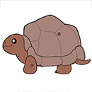 Squishable Tortoise