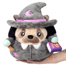 Undercover Pug in Witch thumbnail